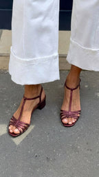 Alegría — Elegancia Dorada